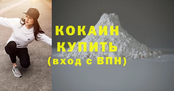 дживик Лагань