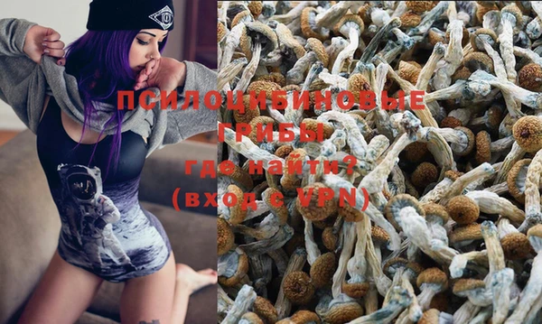 дживик Лагань
