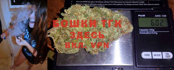 дживик Лагань