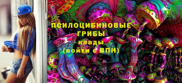 дживик Лагань